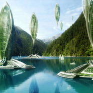 Embracing Your Future: Flying Algal Ships